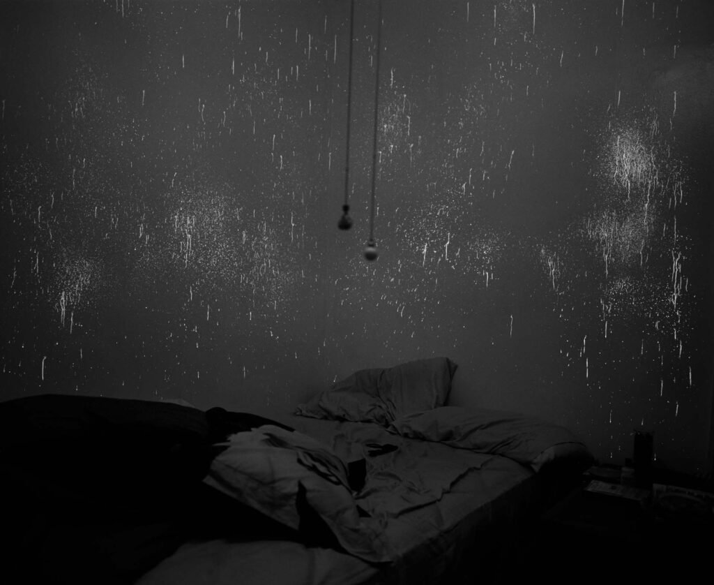 Evidence No. 2, 2009
